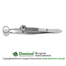 Baird Chalazion Forcep Small - Oval Jaws Stainless Steel, 9.5 cm - 3 3/4" Jaw Size 11 x 8 mm